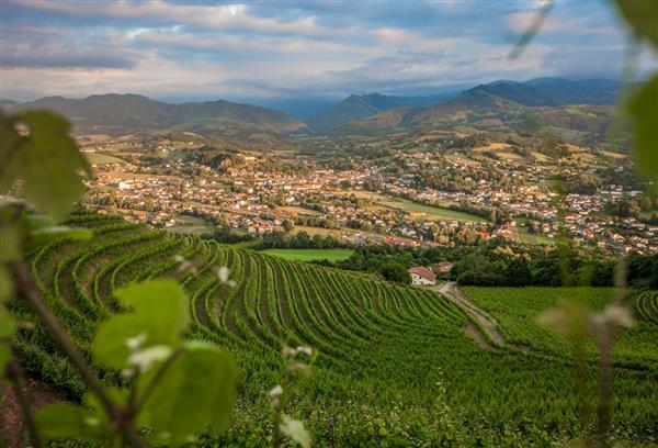 Domaine Etienne Brana - vue vignoble montagne basque - Saint Jean Pied de Port