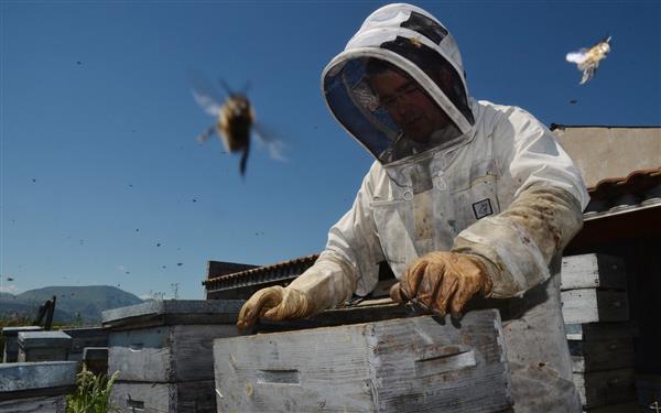 Ferme Harizkazuia  (5)