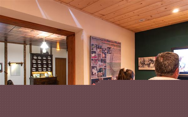 jen_3137_53132549223_o